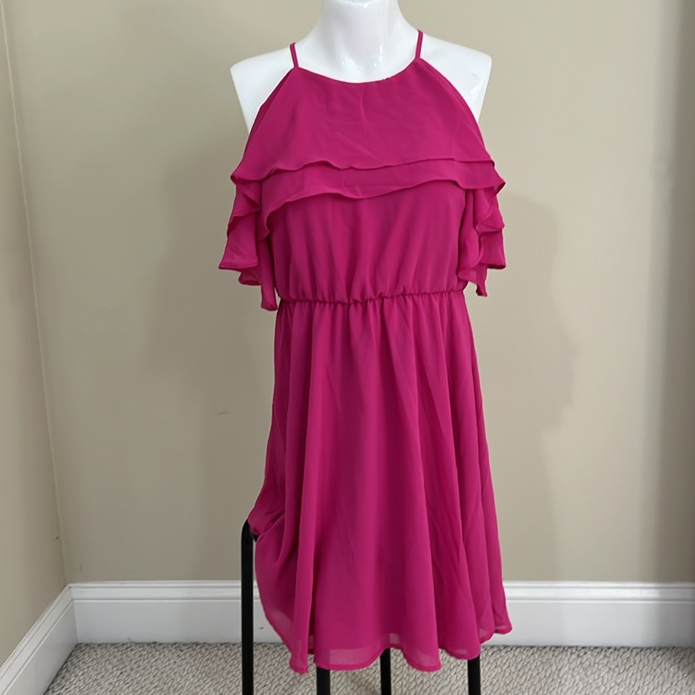 NWT Francesca’s A-Line Pink Ruffle Dress